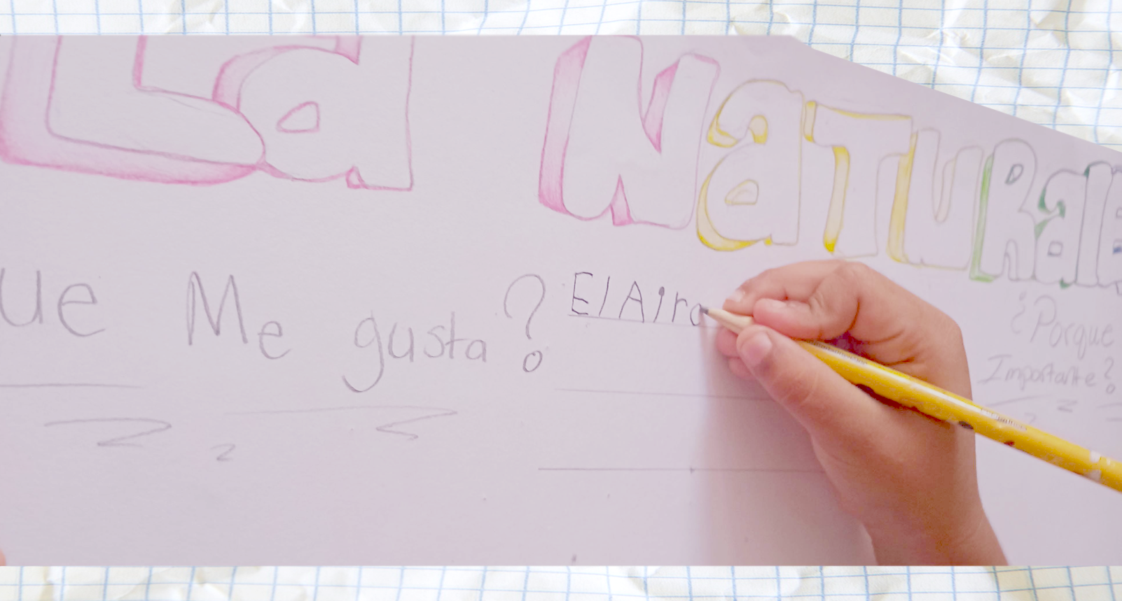 proceso de elaboracion_1